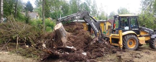 Расчистка и уборка участка