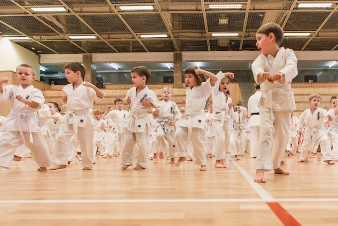 Киокушин карате в Японии