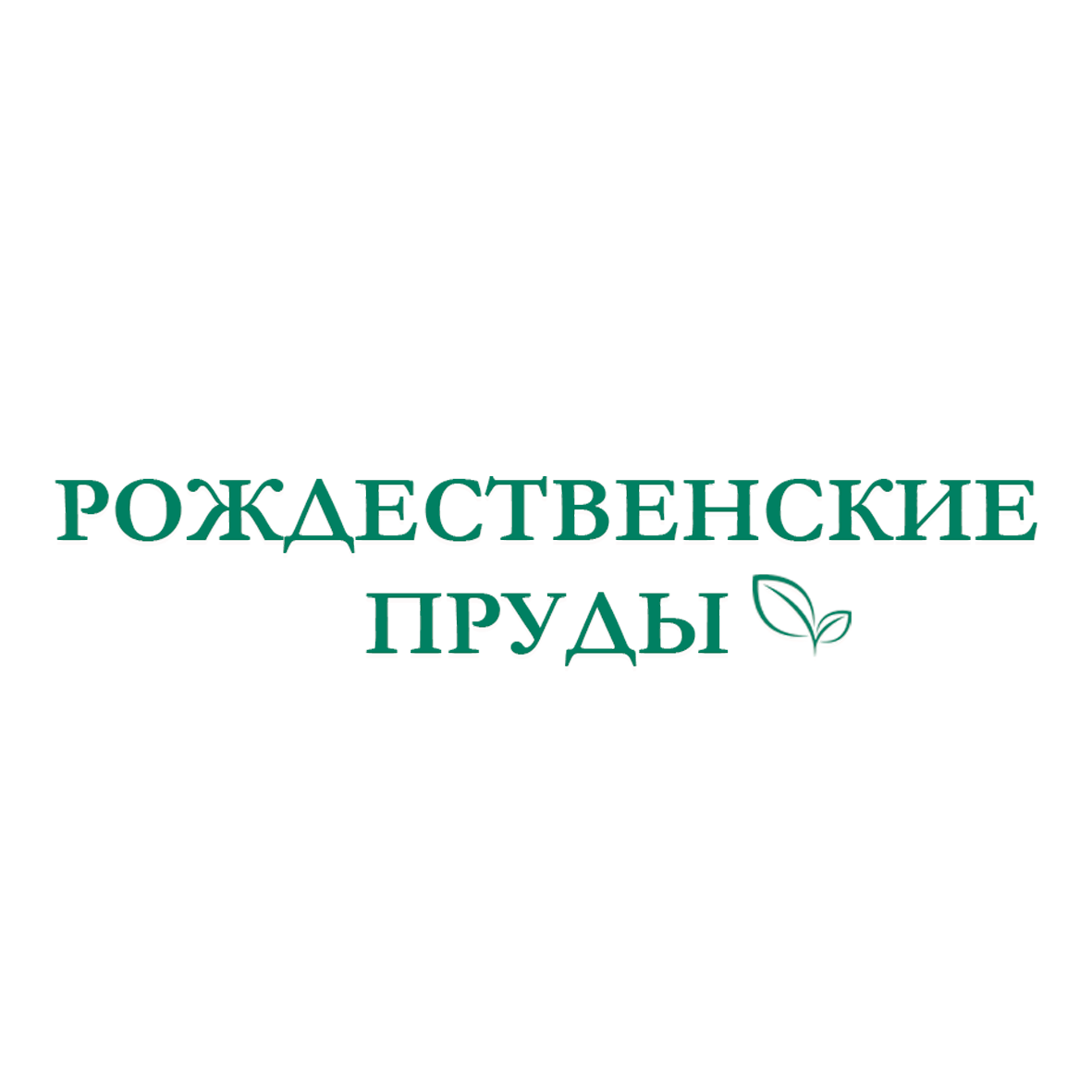 Рождественские пруды