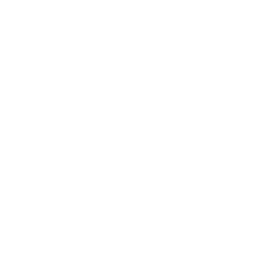 website icon