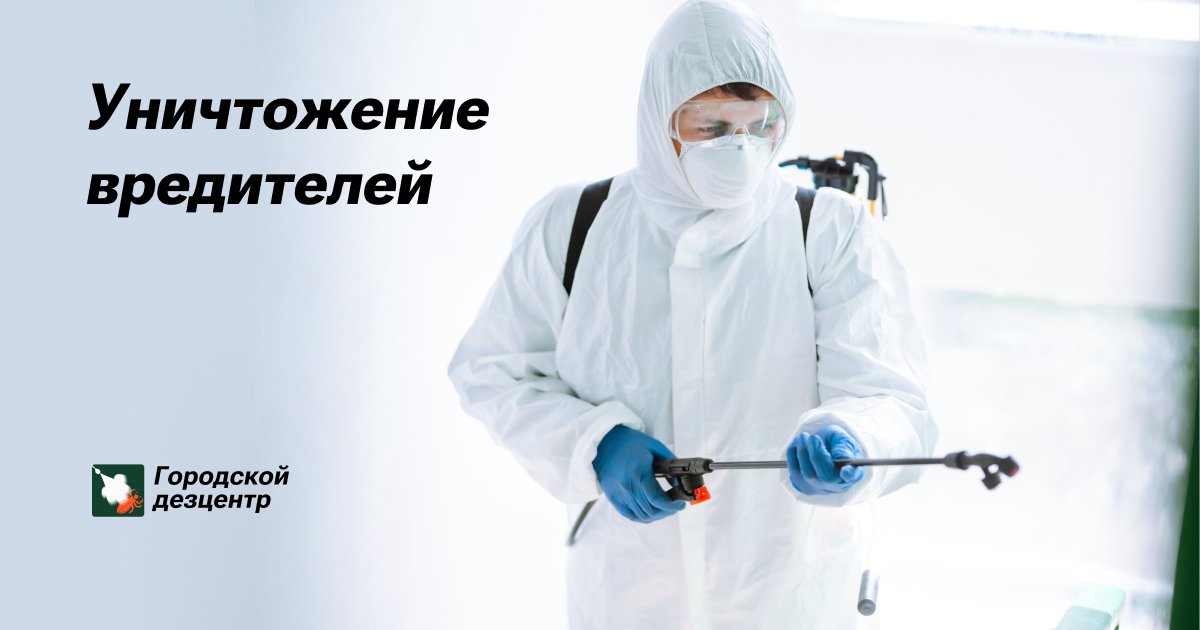 Обработка от всех видов вредителей в Москве