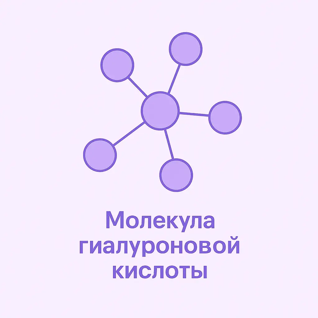 Схематическое изображение молекулы гиалуроновой кислоты
