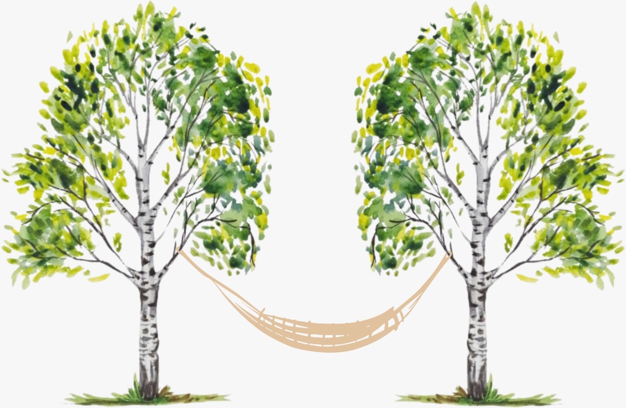 Берёзовка, база отдыха