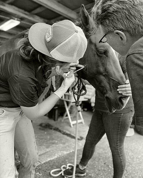 Internships at Austin Equine Hospital