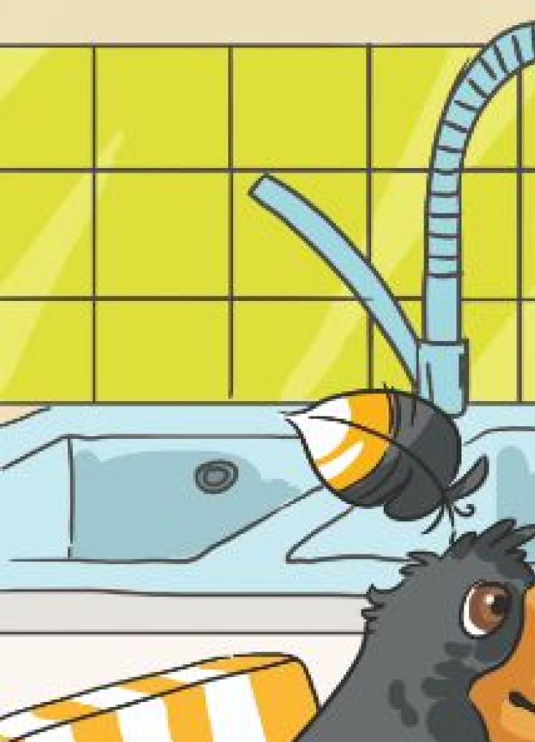 Интеллигентная ворона. Собери пазл.