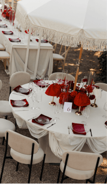 Neponaroshky-wedding-svadba-krym