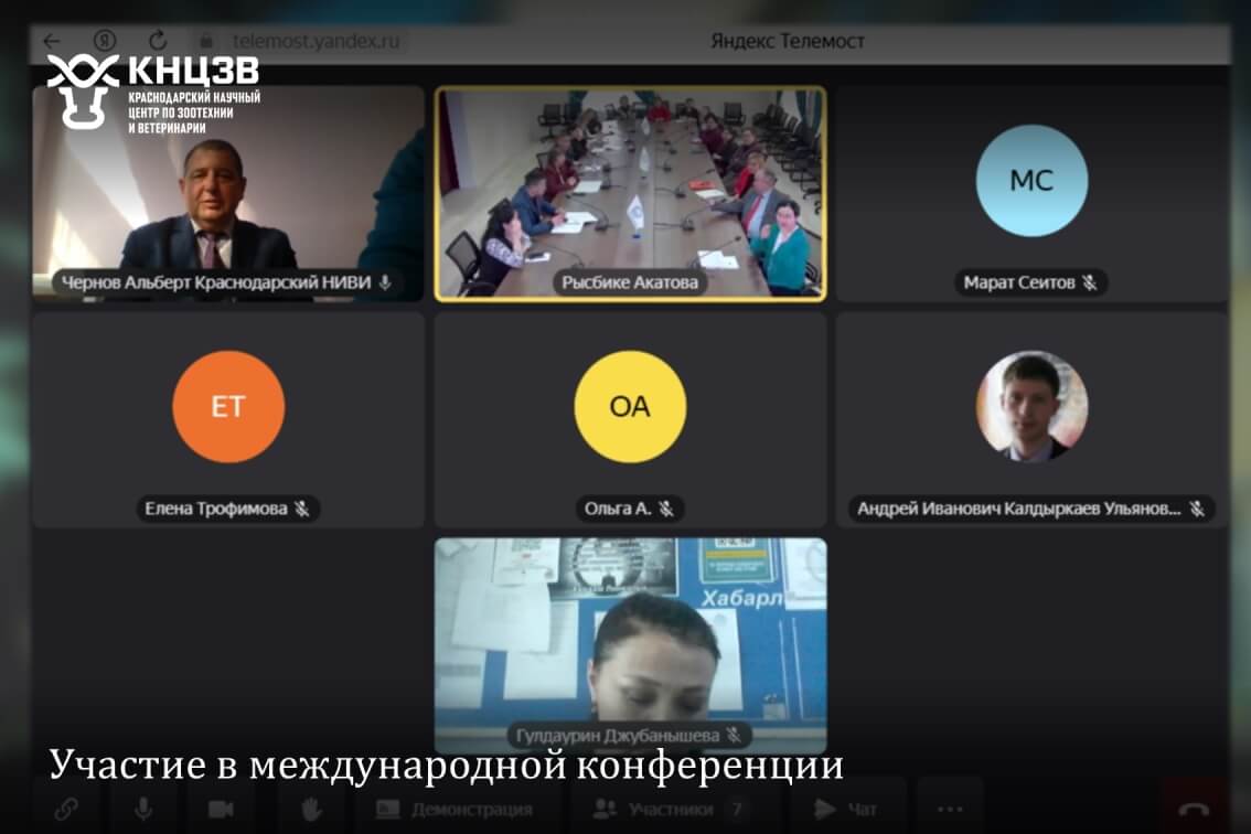 Чернов Альбкрт Николаевич, Краснодарский научный центр по зоотехнии и ветеринарии, ФГБНУ КНЦЗВ