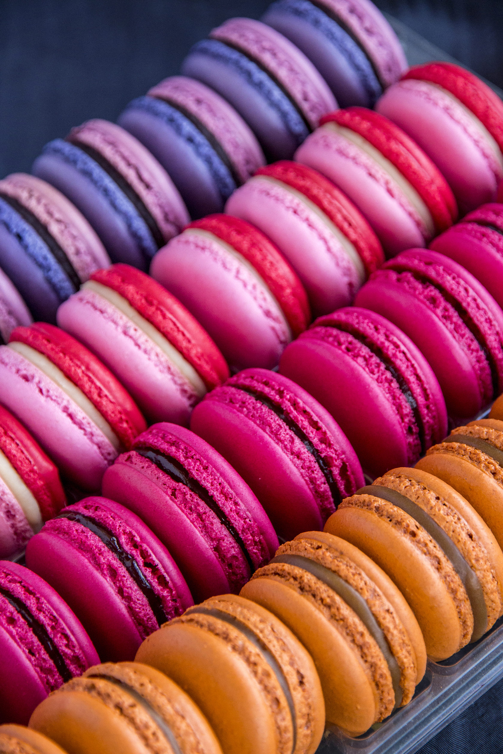 pastryismagic.com