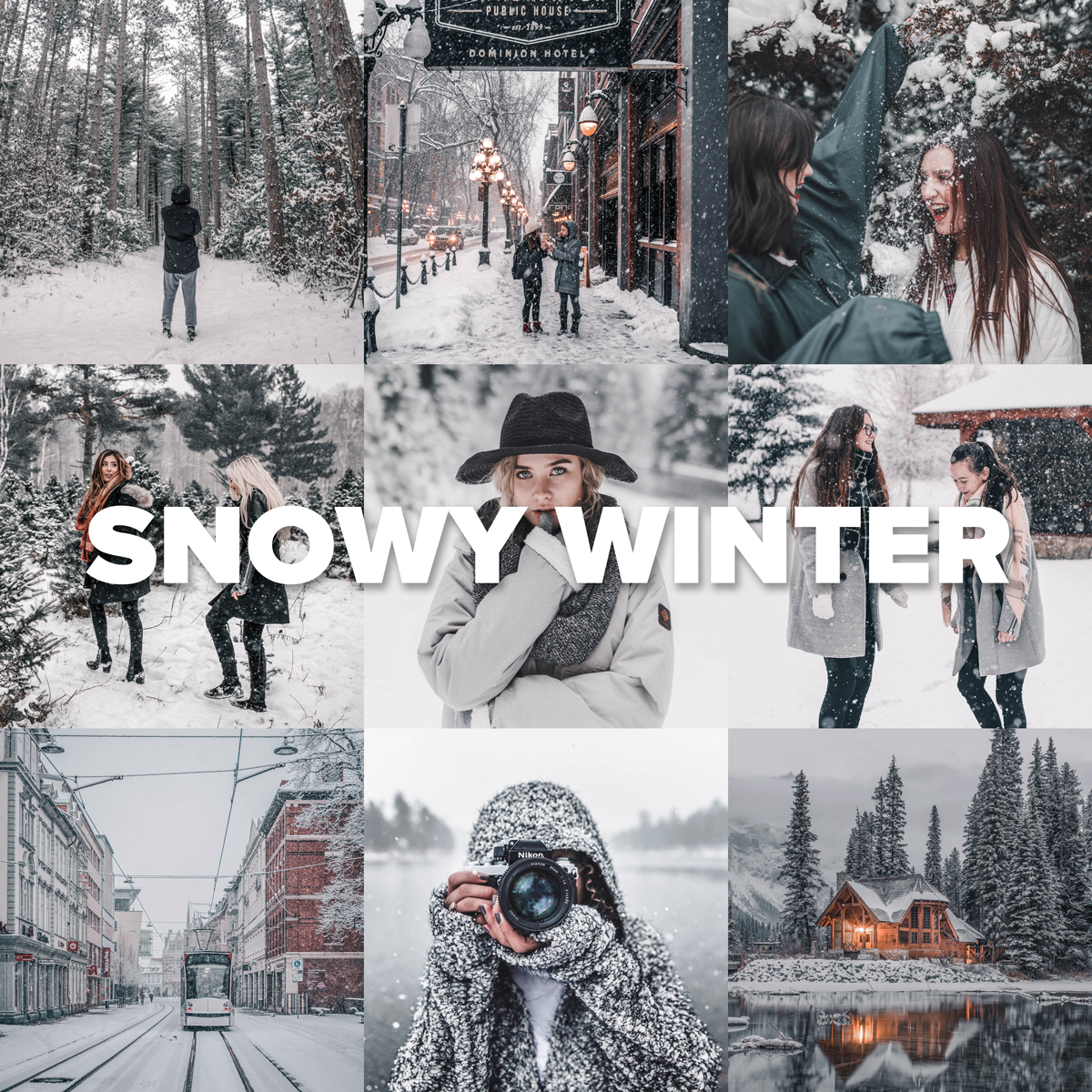Превью Snowy Winter