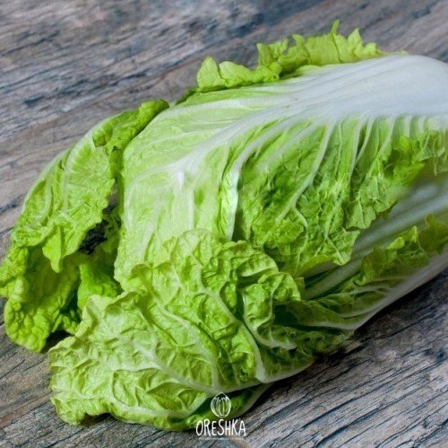 Seeds of Chinese cabbage pomegranate (Brassica rapa subsp. pekinensis) — 30 pcs