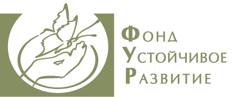 Сайт фонда развития территорий. Фонд устойчивое развитие. Фонд устойчивое развитие Нижегородской области логотип. Фонда устойчивого развития России. Фонд 