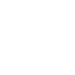 website icon