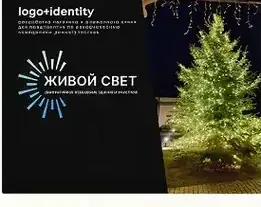 Живой свет: Логотип / айдентика