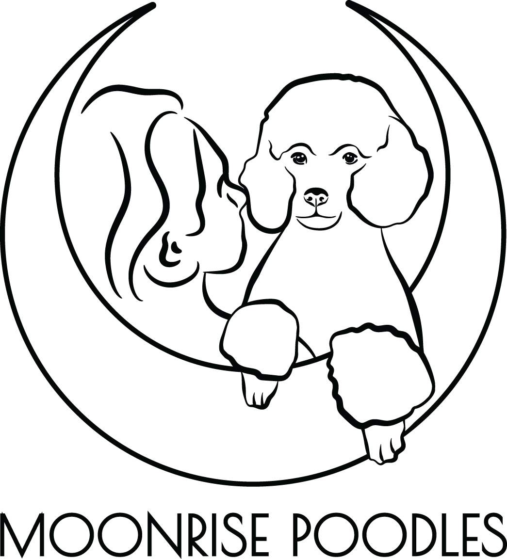 moonrisepoodles.com