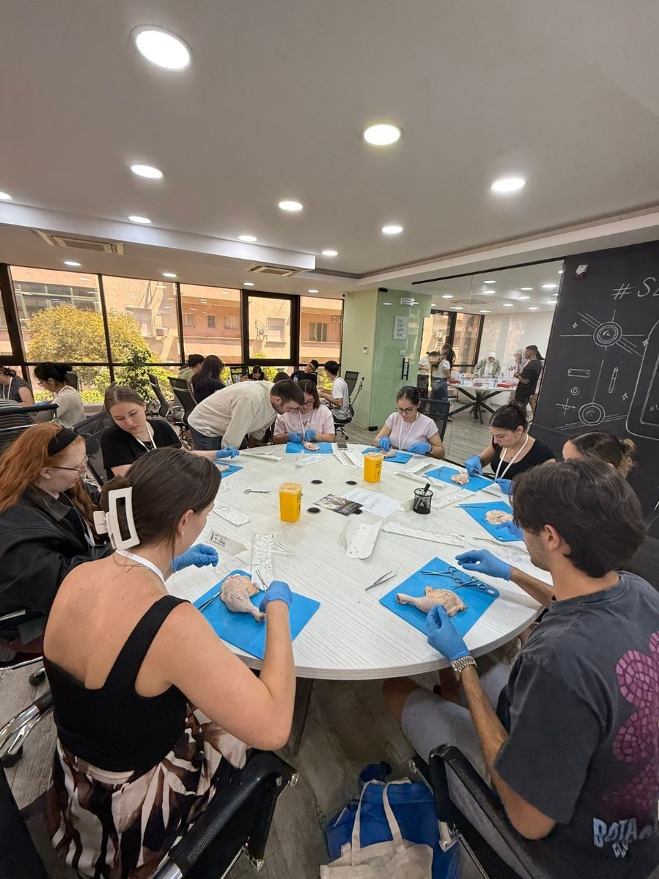 медицинские стажировки в Европе