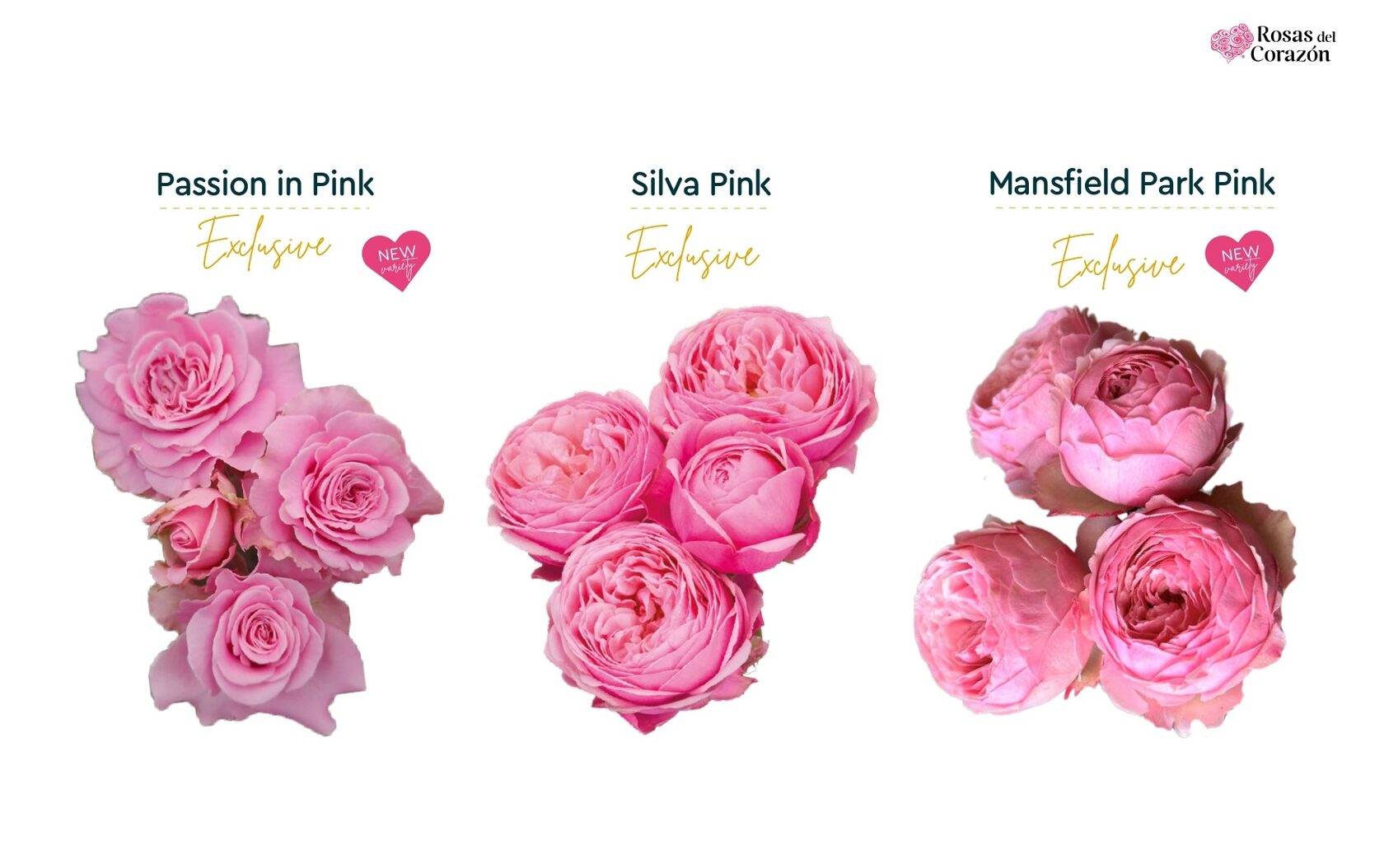 Passion in Pink, Silva Pink, Mansfield Park Pink