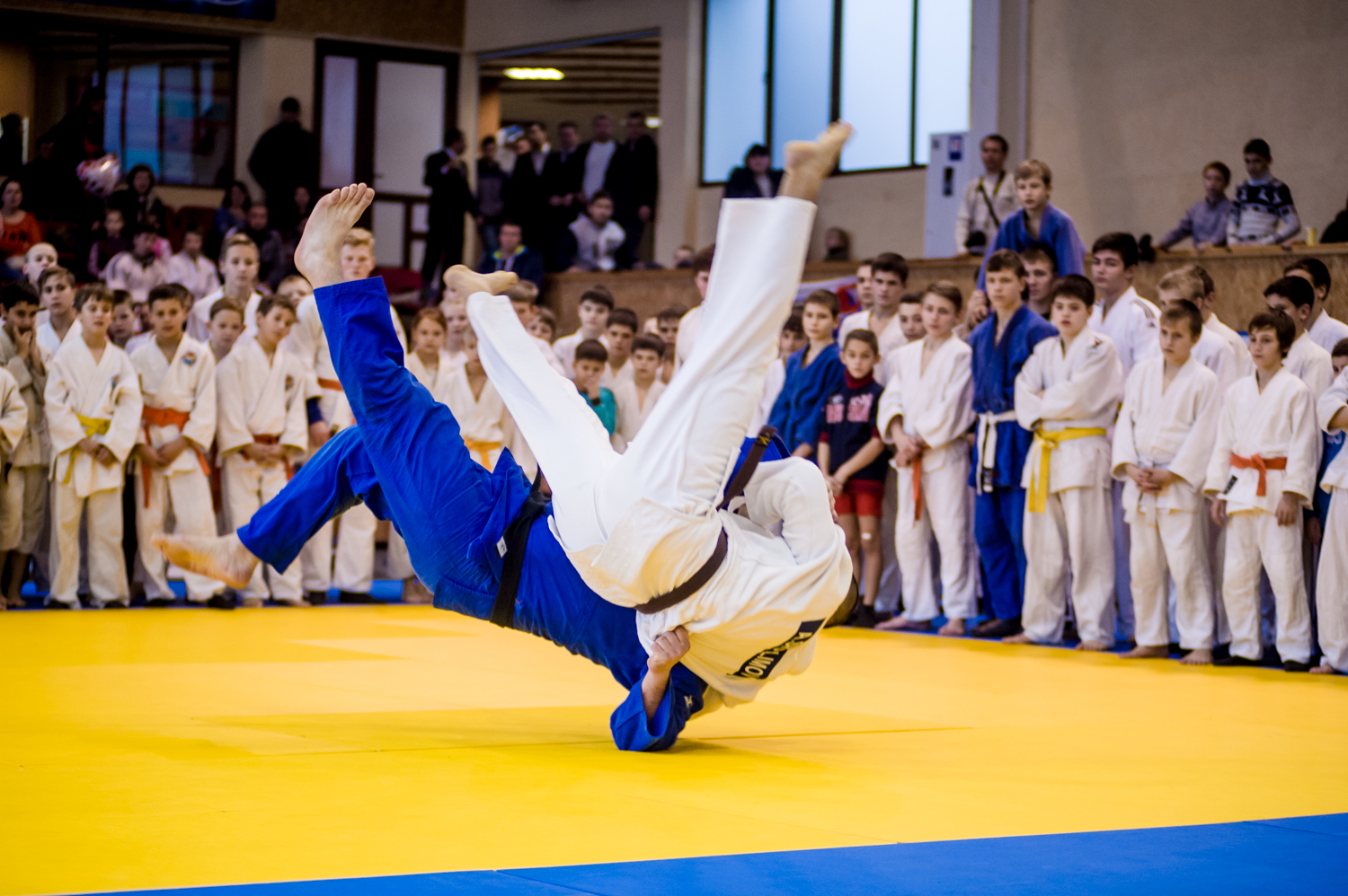 Дзюдо спортивный лагерь