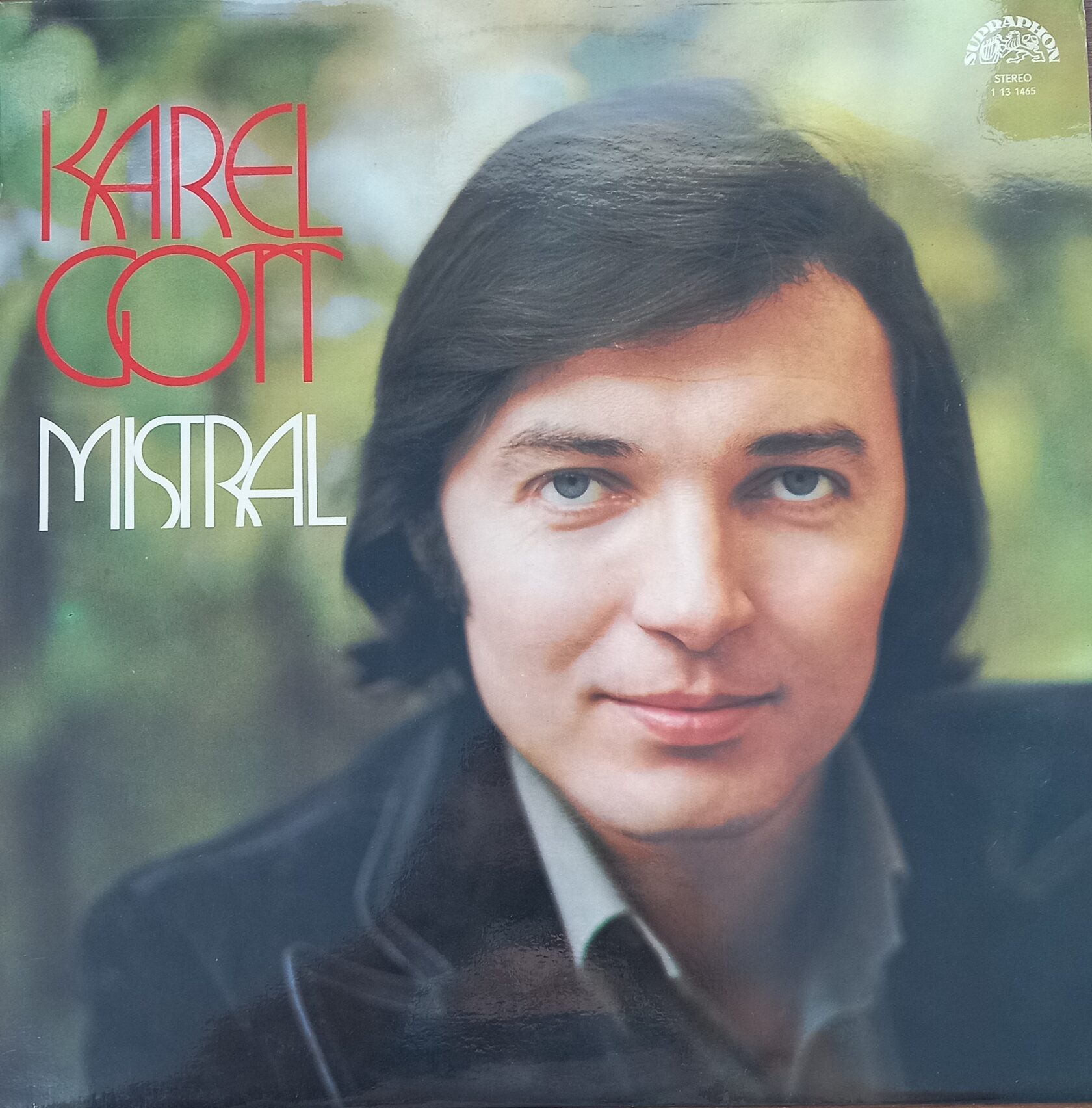 Карел готт слушать. Карел Готт. Карел Готт 1970. Виниловая пластинка Карел Готт. Пластинка Карел Готт (Karel Gott).