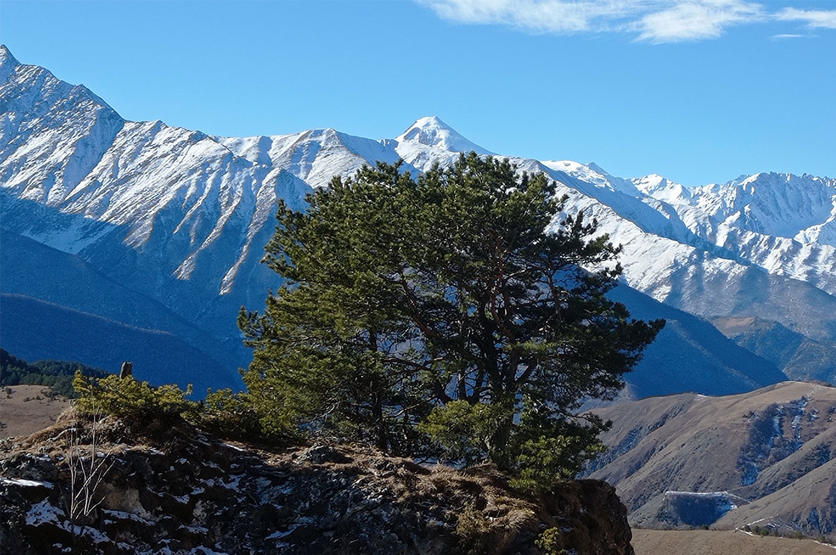 ущелье цей-лоам. перевал цей-лоам. перевал цей-лоам ингушетия. ущелье цей-лоам. гора цей лоам.