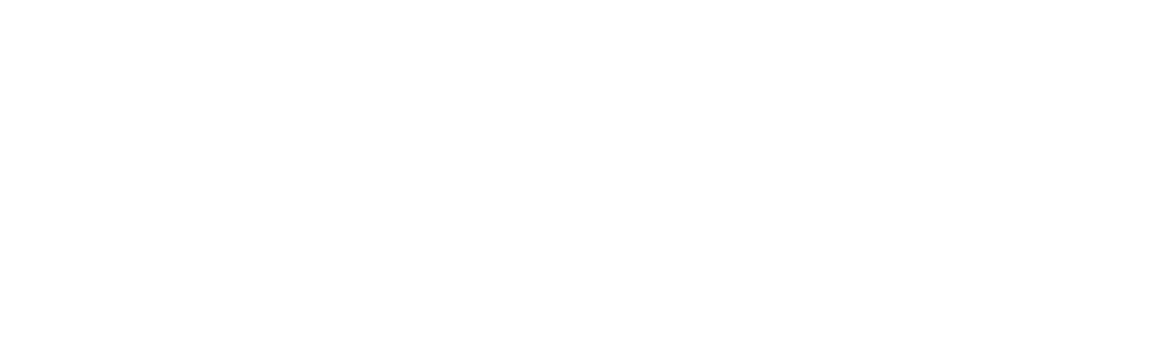 Логотип «Динамические Системы»