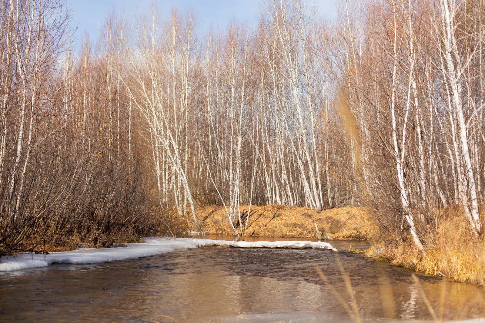 Село какова