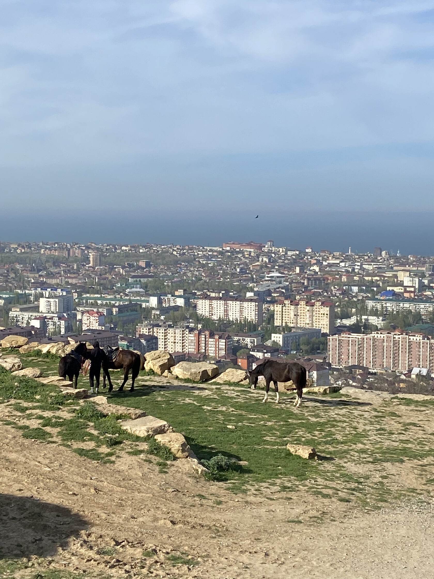 Смотровая площадка в Махачкале с горы Тарки-Тау