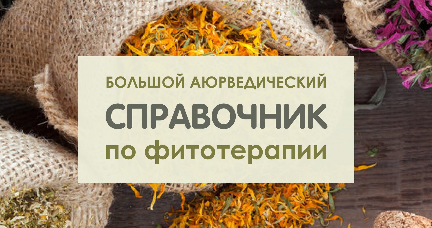 БОЛЬШОЙ АЮРВЕДИЧЕСКИЙ СПРАВОЧНИК ПО ФИТОТЕРАПИИ