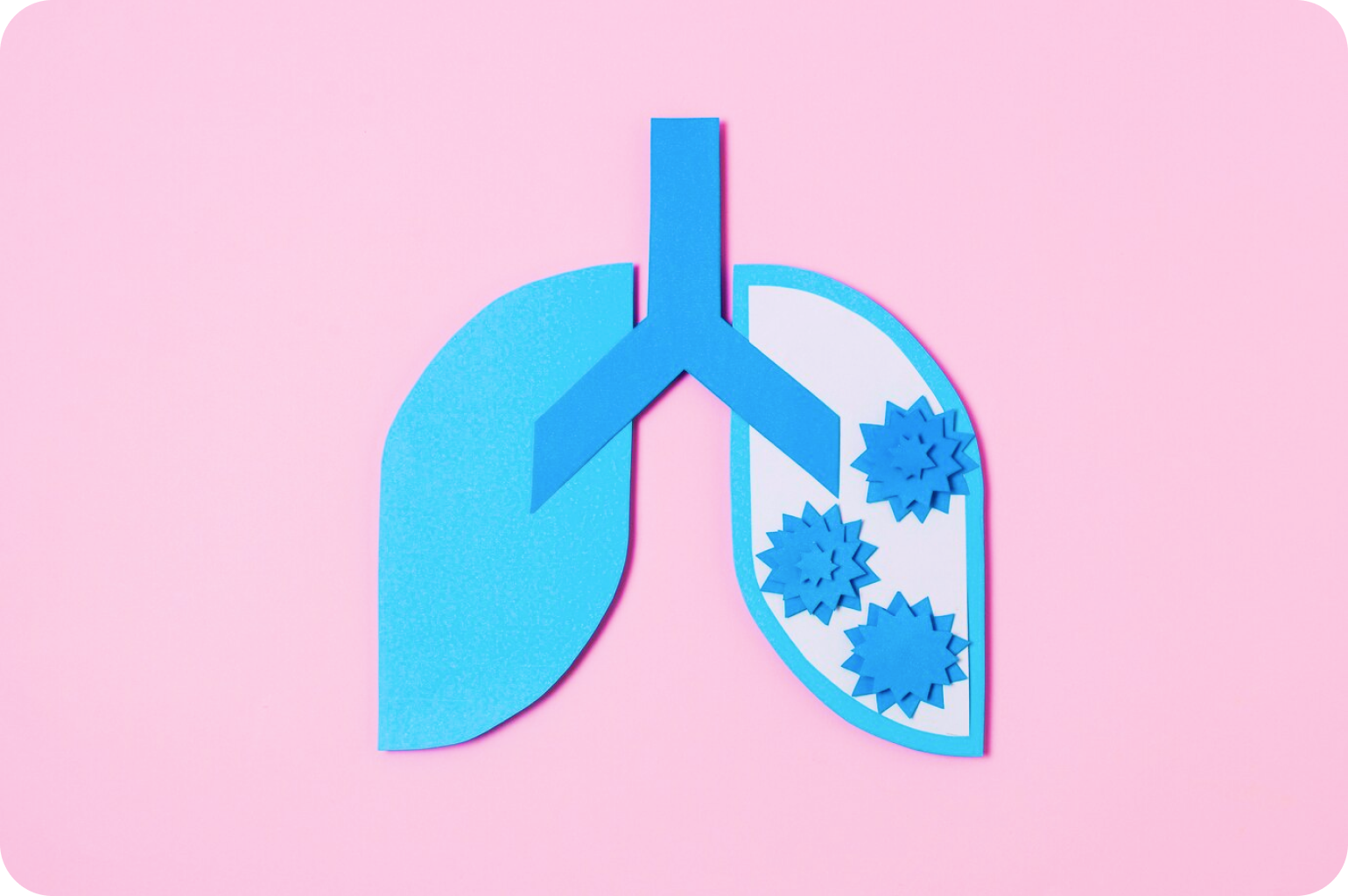 Приступ бронхиальной астмы, симптомы, что делать при приступе?