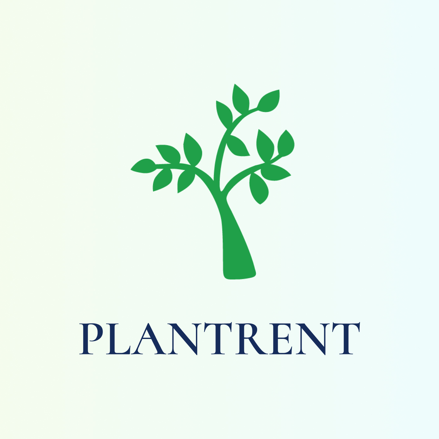 Аренда искусственных деревьев, растений и кашпо для ваших пространств ...