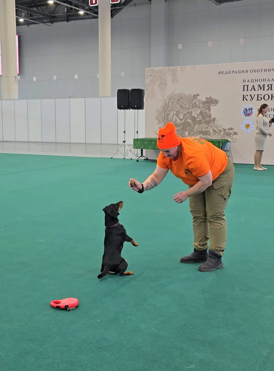 Трюковая дрессировка. Вкусопоощрительный метод.