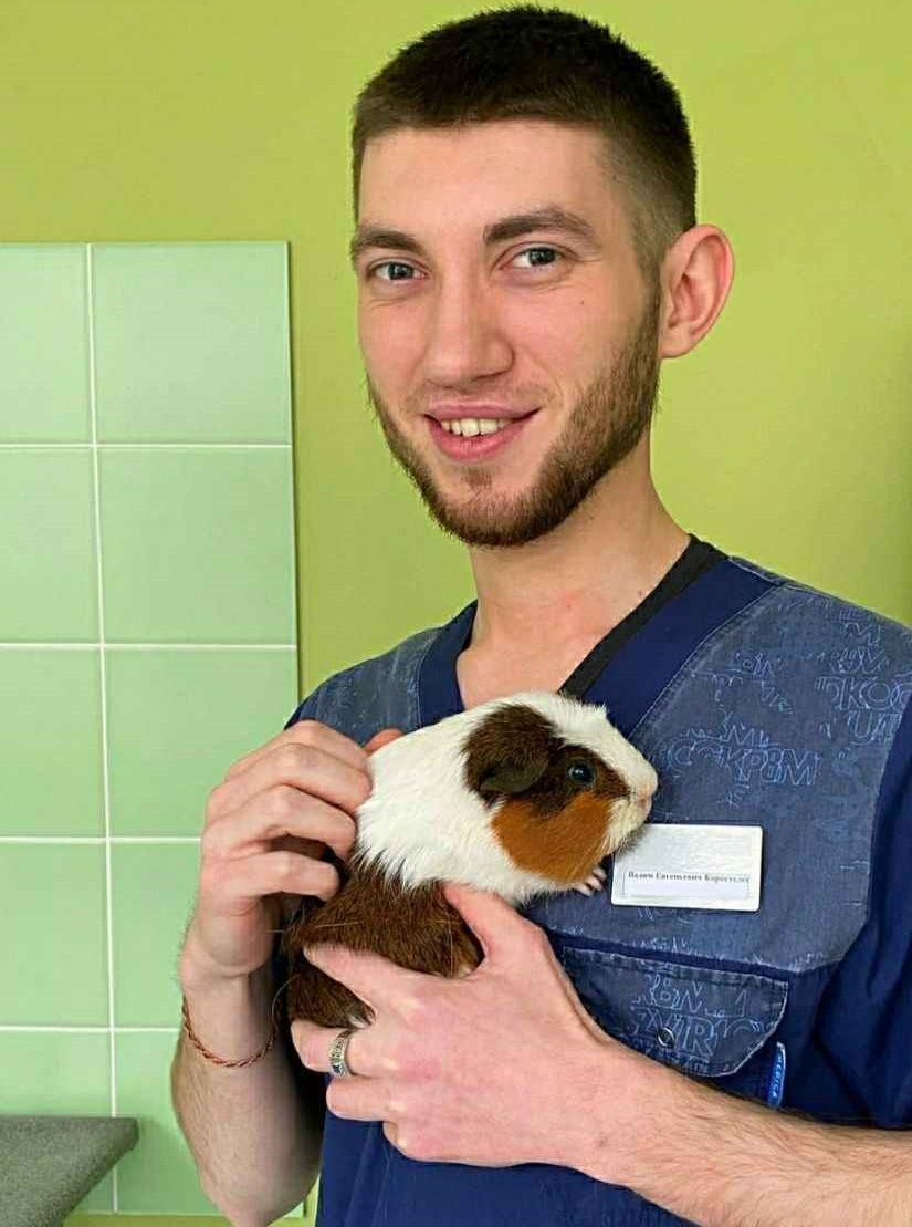 Ветеринар на дом. Все виды ветеринарных услуг от 300р.