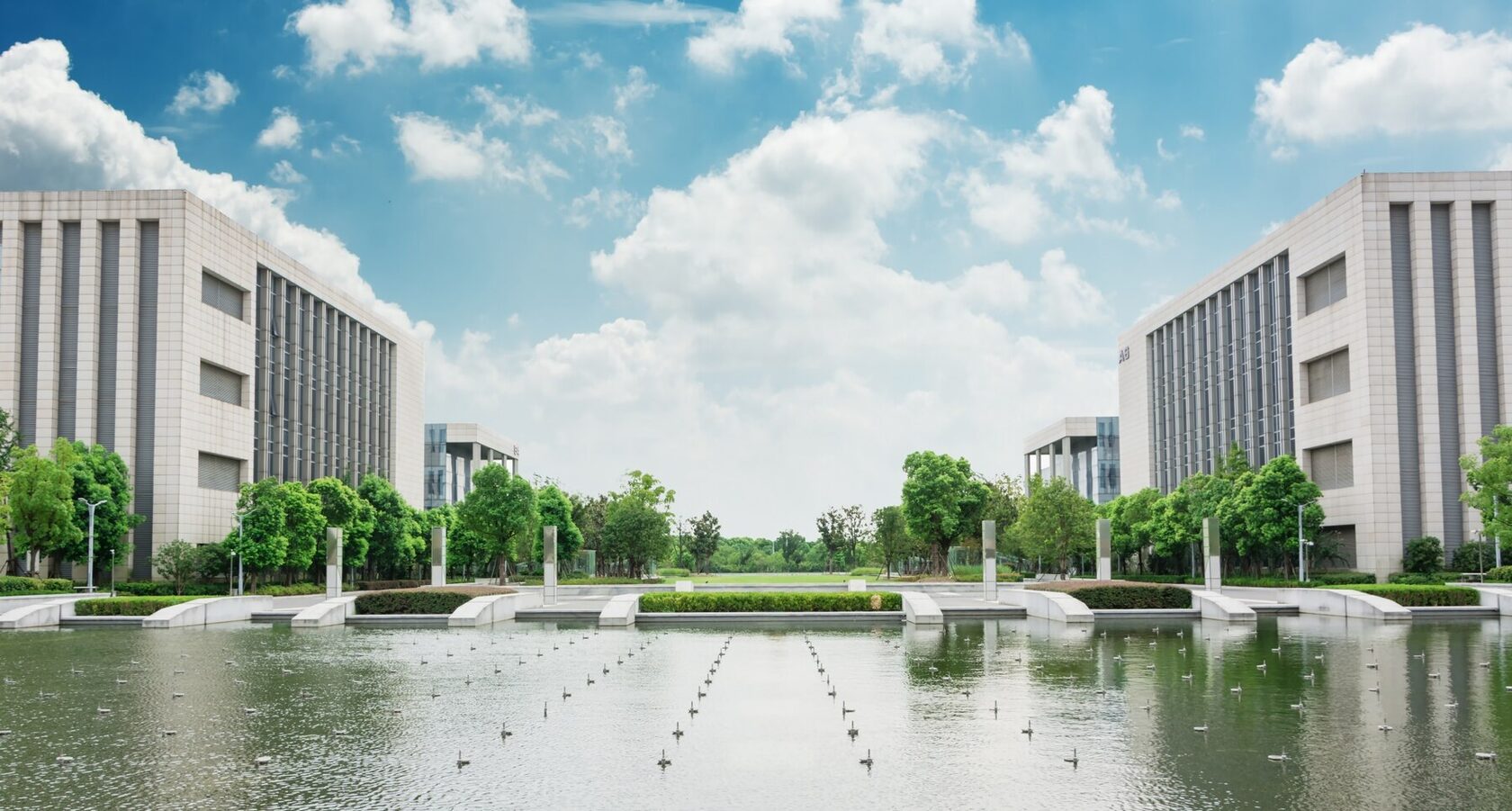 Университет, институт или академия