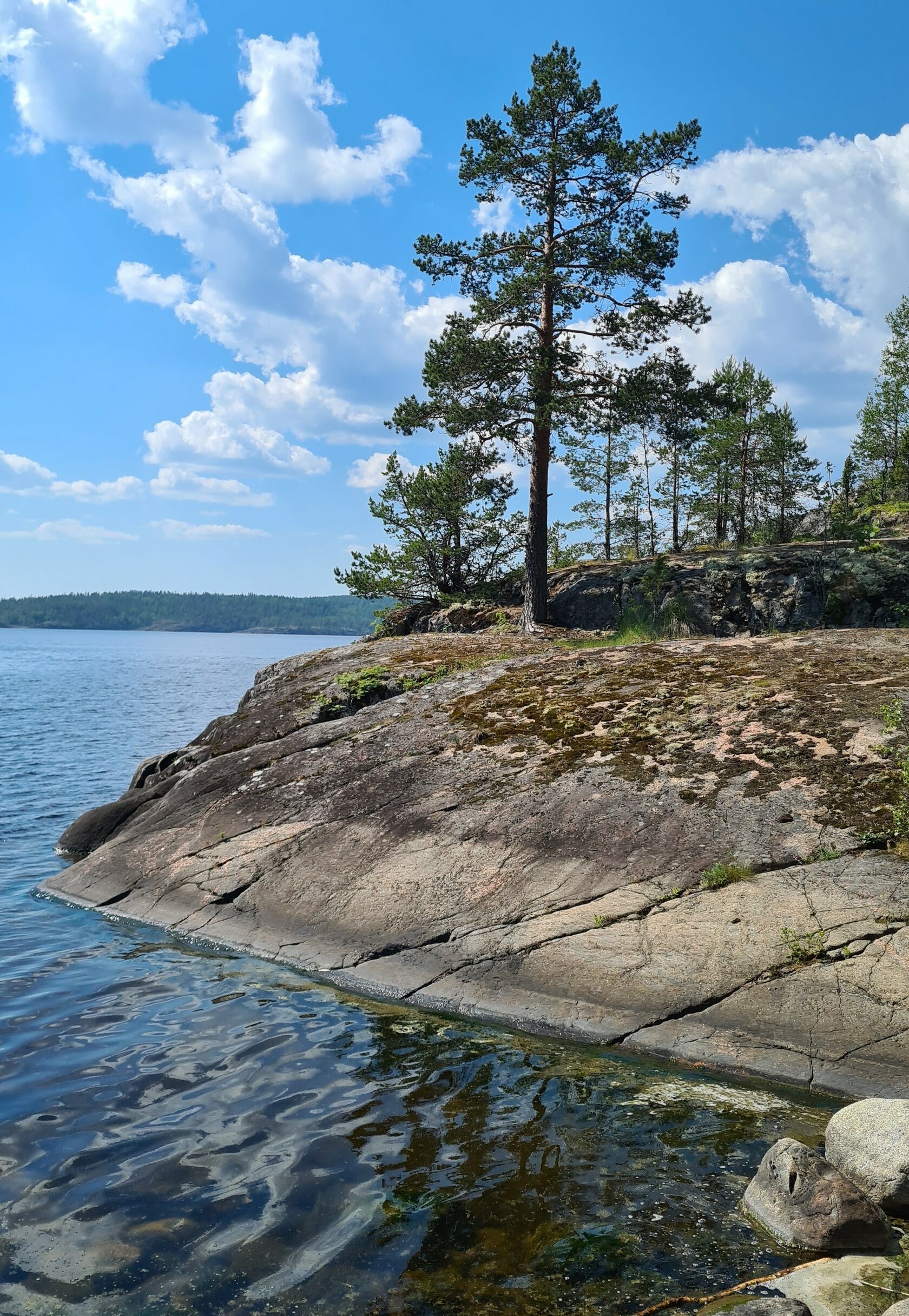 Прогноз лахденпохья