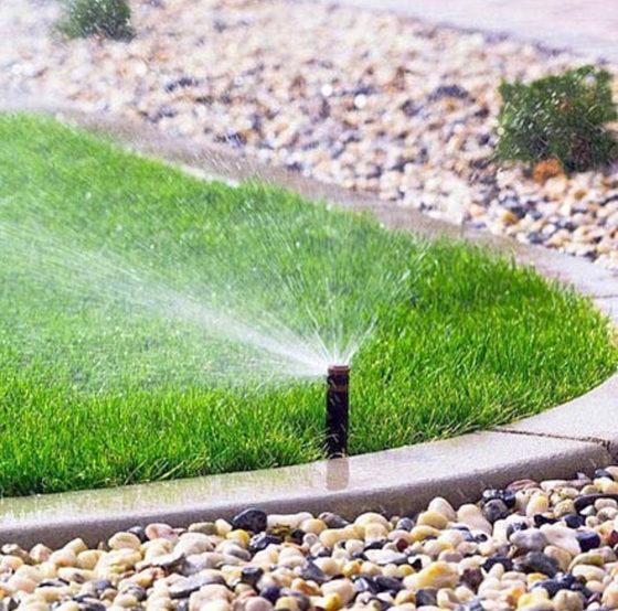 Мастерская газонов Ивана Овчаренко. Работаем на совесть с 2014 года!