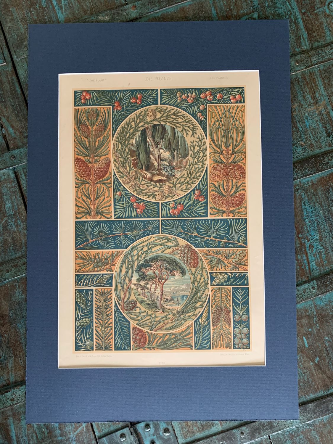 Антикварная литография Антона Седера Die Pflanze in Kunst und Gewerbe