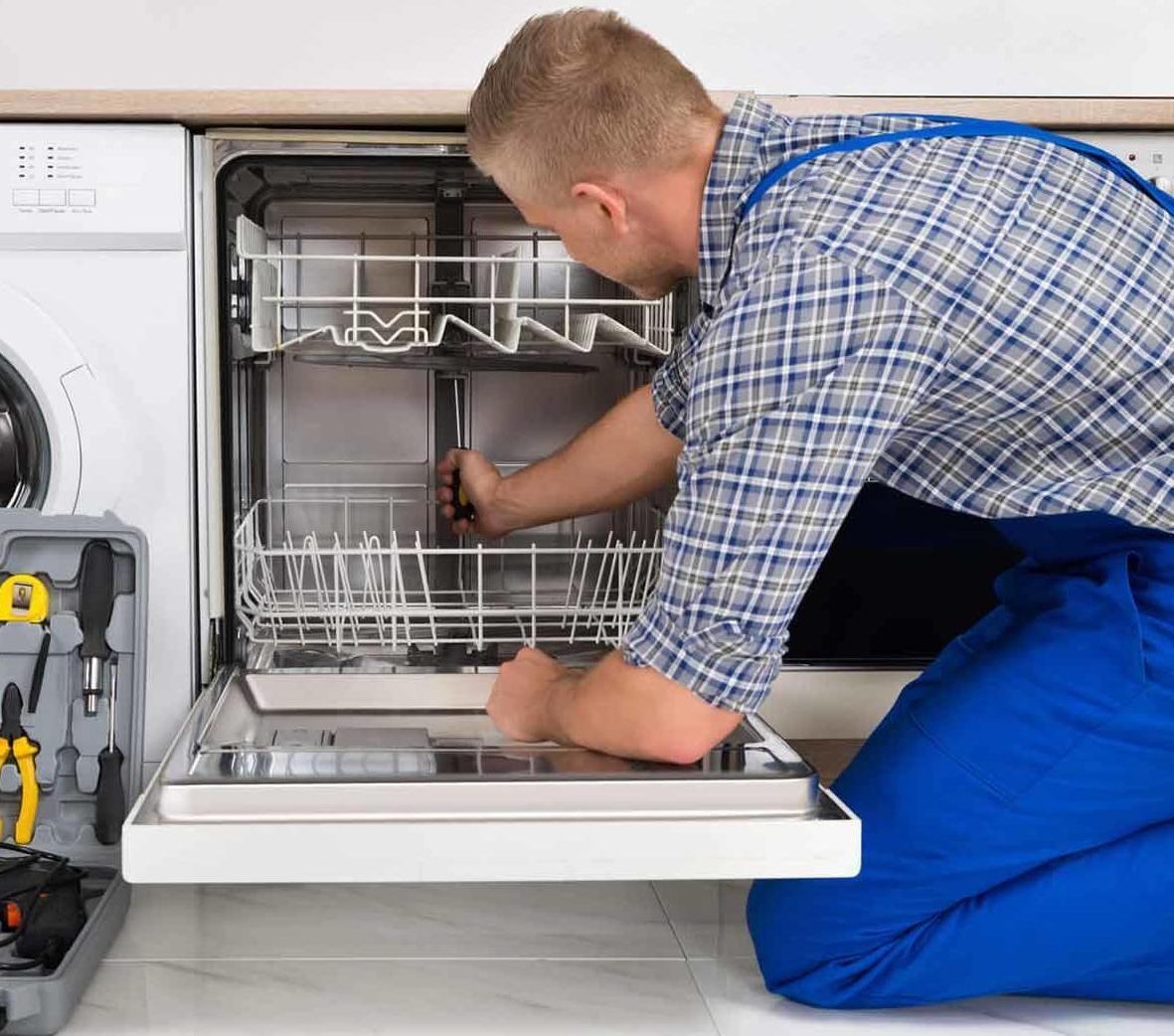 remont posudomoechnyh mashin remont