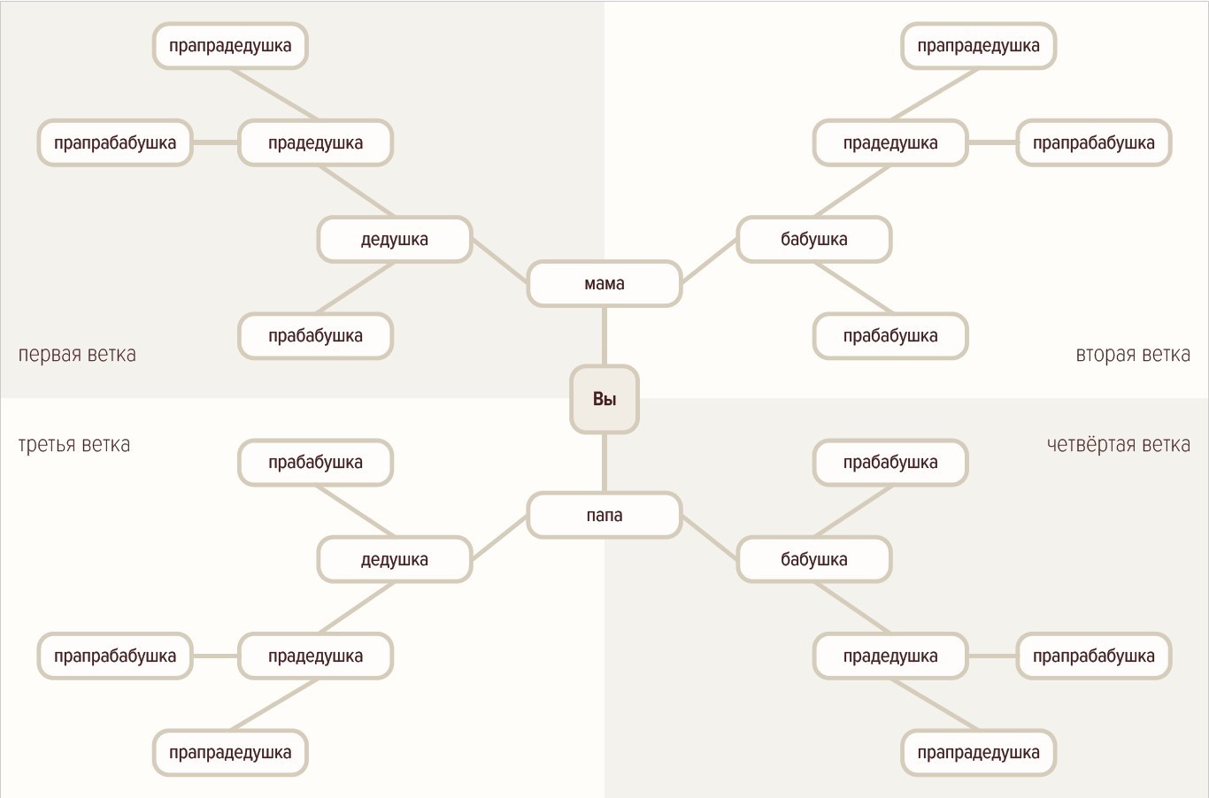 геологическое дерево. генеалогическая экспертиза. фон для генеалогического древа. письменный стол с фотографиями и письмами. составление генеалогического древа.