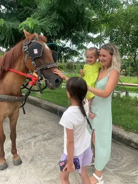 Девочка гладит лошадь в упряжи