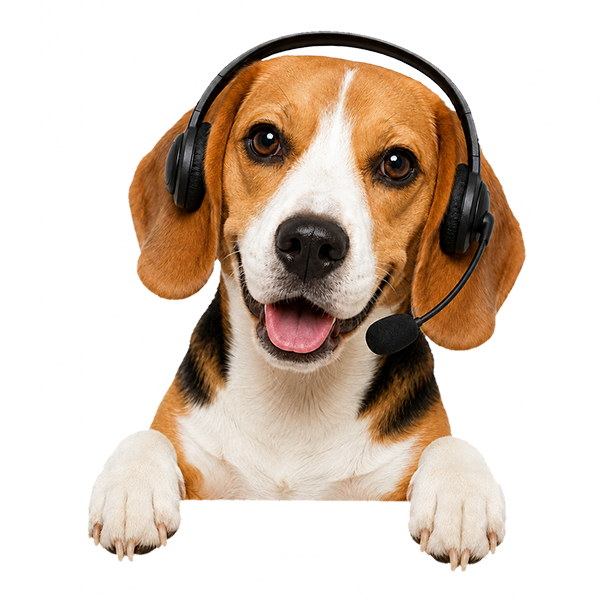 Beagle — маскот сервиса