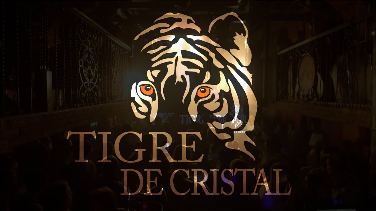 Де тайгер. Тигр де Кристал. Tigre de Cristal логотип. Казино тигр. Казино Владивосток Tigre de Cristal.