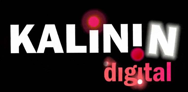 Kalinin Digital