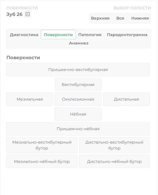 Поверхности зуба — Future IT Dent
