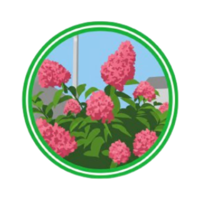 Растения с характером