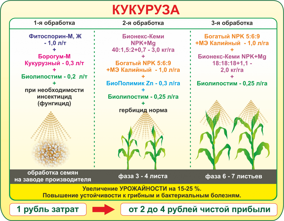 Бионекс кеми. Удобрение Бионекс Кеми. Удобрение Бионекс Кеми растворимый. Схема обработки кукурузы.