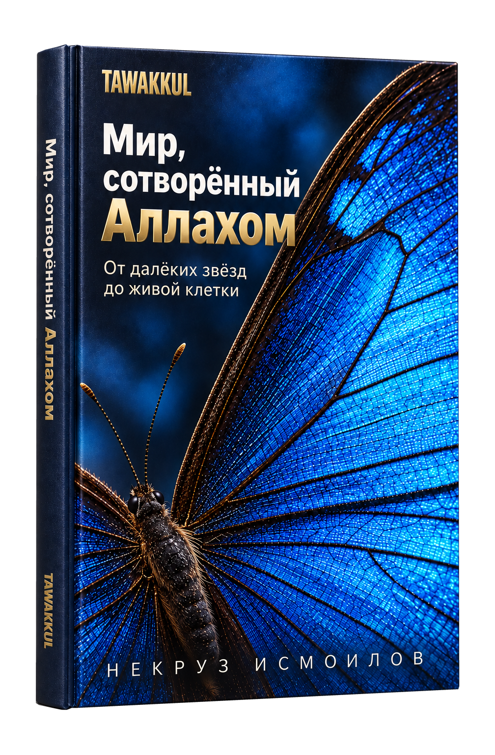 Мир, сотворённый Аллахом. НЕКРУЗ ИСМОИЛОВ. Обложка книги
