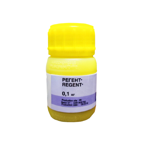 Қарт адамның жас әйелді сиқыған суреті