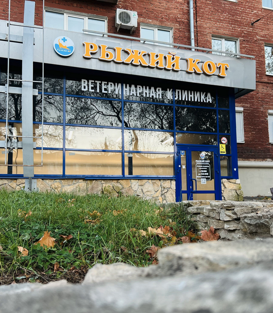 Пушкинская
