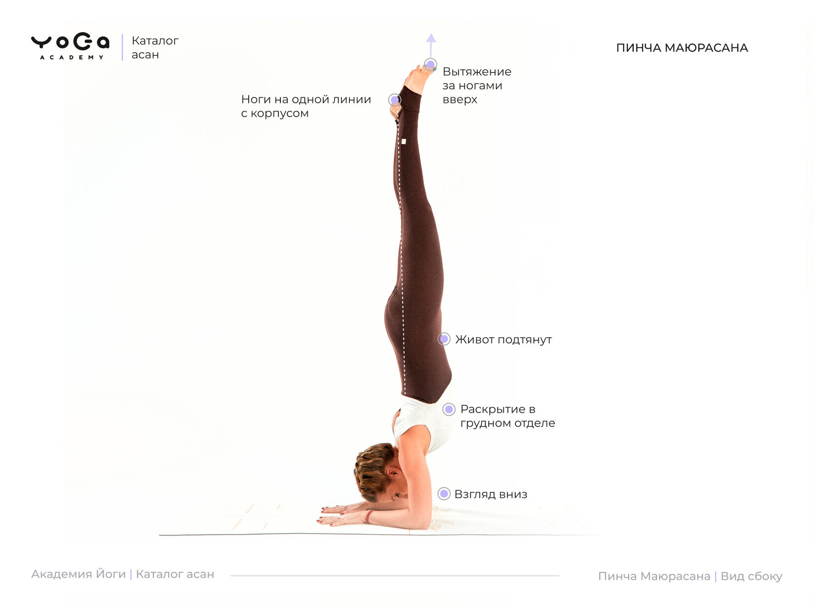 Қыздар жалаңаш еркектің суретін салады