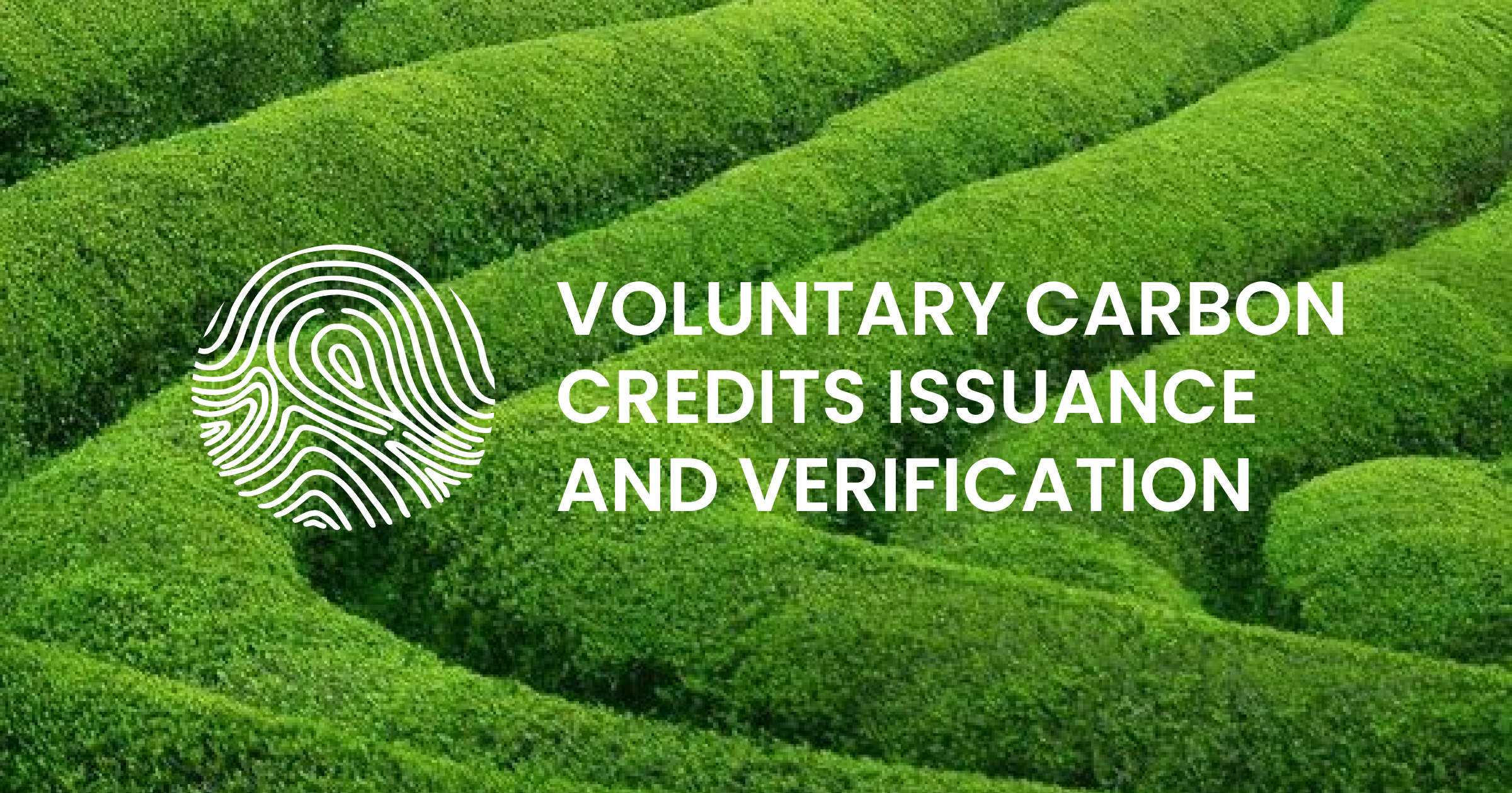 voluntary-carbon-credits-issuance-and-verification