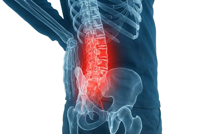 Здоровый позвоночник